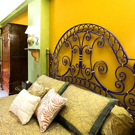 Animosa Guest house
