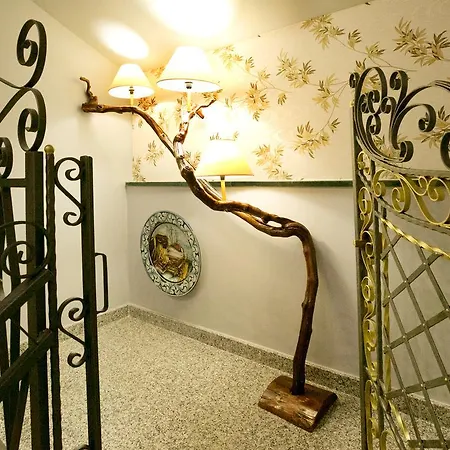 Guest house Animosa