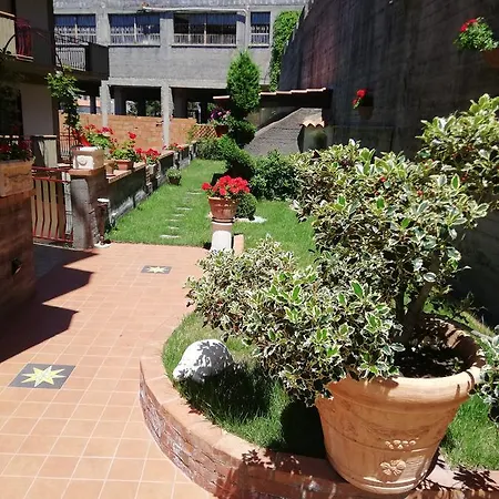 Animosa Guest house