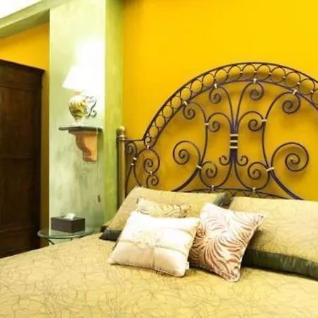Animosa Guest house