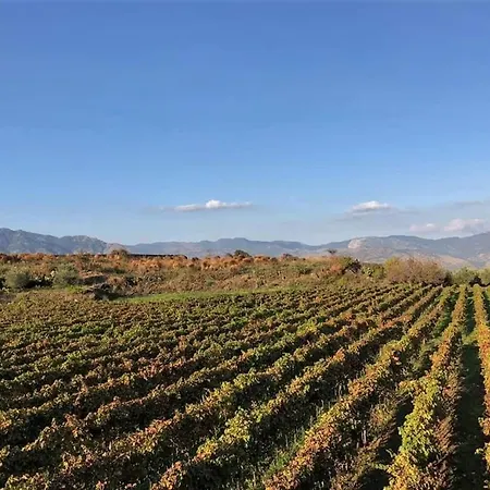 Animosa Affittacamere 4*