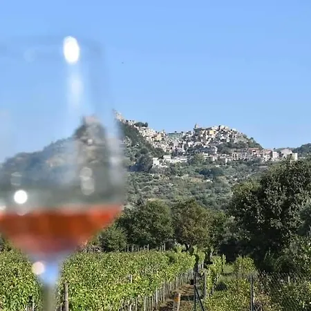 Animosa Πανσιόν Castiglione De Sicilia