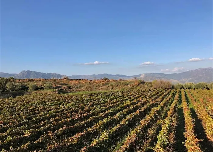 Animosa Affittacamere 4*