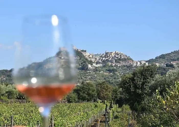 Animosa Affittacamere Castiglione De Sicilia