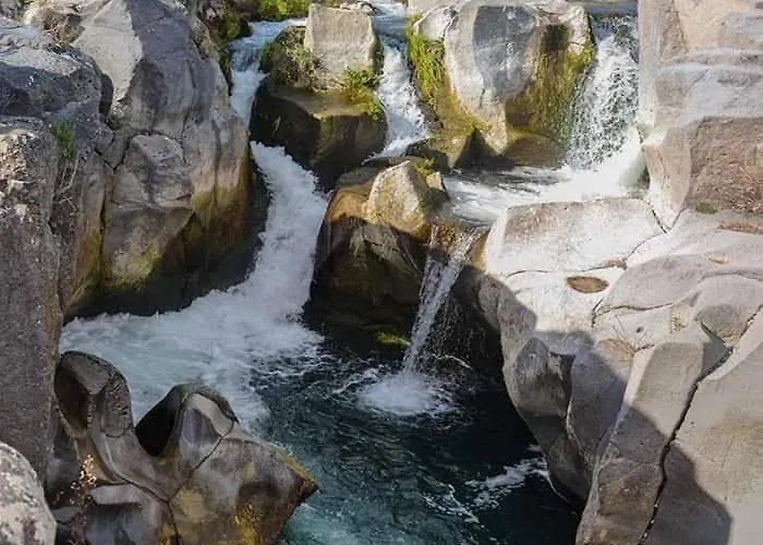 Animosa Affittacamere